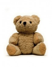 brown teddybear sitting